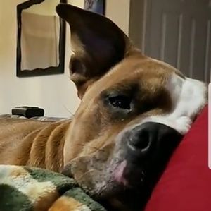 Meet your Posher, Brian